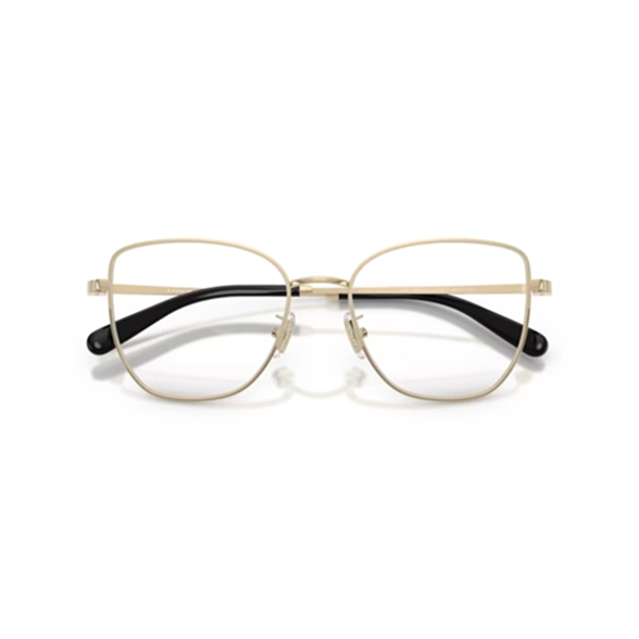 Butterfly eyeglass frames