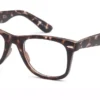 Capri College Tortoise
