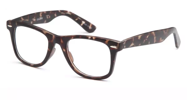 Capri College Tortoise