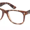 Capri University Tortoise