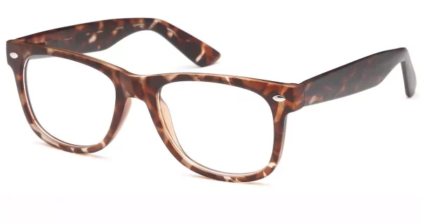 Capri University Tortoise