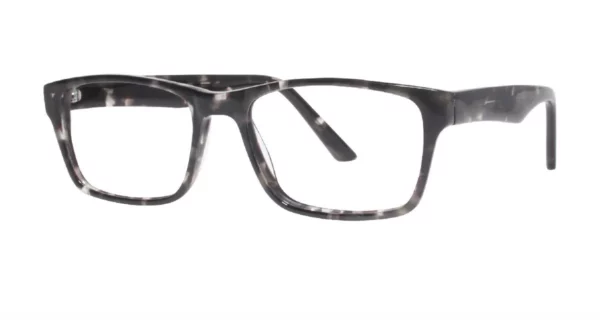 Eight to Eighty Dennis Tortoise