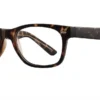 Affordable Designs Butch - Tortoise