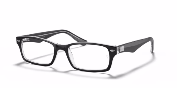 Ray-Ban RX5206 2034 - Black on Transparent