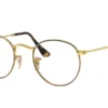 Ray-Ban RX3447V 2945 - Havana on Gold