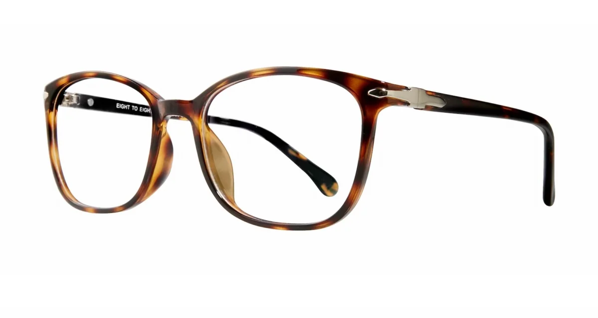 Eight to Eighty Torino - Tortoise