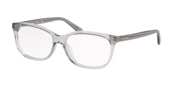 Coach HC6139U 5176 Transparent Grey