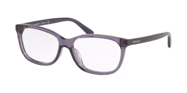 Coach HC6139U 5535 Transparent Purple