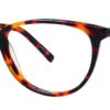Eight to Eighty - Addison - Tortoise