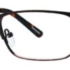 Eight to Eighty - Explorer - Brown