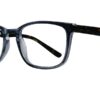 Affordable Designs - Harry - Blue Tortoise