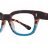 Affordable Designs - Urban - Blue Tortoise