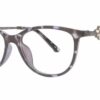 AirMag AP6450 C3 - Demi Tortoise