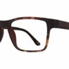 AirMag AP6470 C3 - Tortoise / Brown