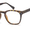 Capri U210 - Tortoise