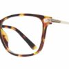 Eight to Eighty - Brianna - Tortoise