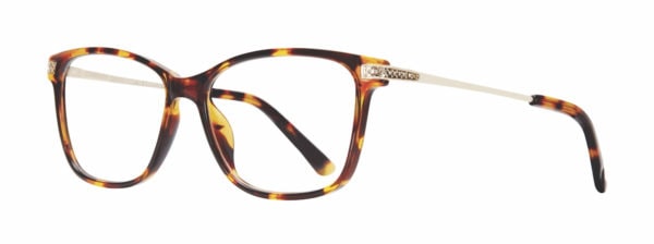 Eight to Eighty - Brianna - Tortoise