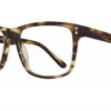 Eight to Eighty - Carlos - Olive