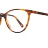 Eight to Eighty Kitty - Tortoise
