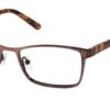 Elizabeth Arden EA1168 - 1 Brown