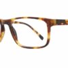 Maxx Eyewear Buck - Tortoise
