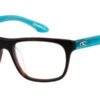 O'Neill Jesse - Matte Tortoise / Turquoise 102