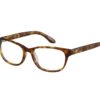 O'Neill Isla 122 - Tortoise
