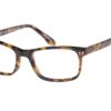 O'Neill Trent 102 - Gloss Tortoise