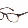 Superdry Judson 102 - Gloss Tortoise