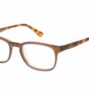 Superdry Judson 120 - Gloss Purple / Amber
