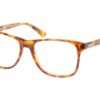 Superdry Paterson 102 - Gloss Tortoise