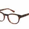 Superdry Jonny 102 - Gloss Tortoise