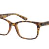 Superdry Maika 102 - Matte Tortoise