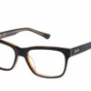 Superdry Ushi 104 - Matte Black / Tortois