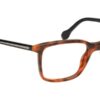 Tuscany 636 17 - Tortoise