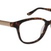 Tuscany 642 17 - Tortoise