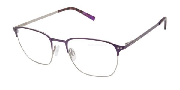 Elizabeth Arden EA1233 1 52 Purple / Silver