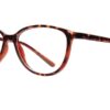 Affordable Designs Piper Tortoise