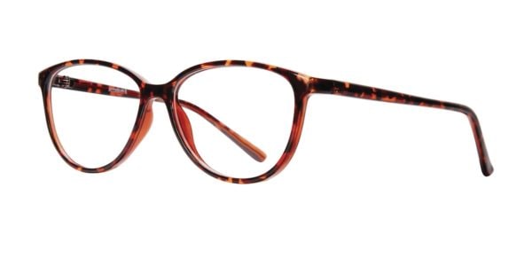 Affordable Designs Piper Tortoise