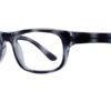 Affordable Designs Professor Blue