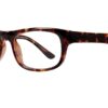 Affordable Designs Professor Tortoise