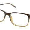 IZOD 2086 Brown Fade