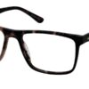 Tony Hawk TH575 1 Tortoise