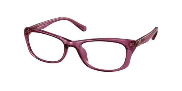 Coach HC6164U 5574 Wine