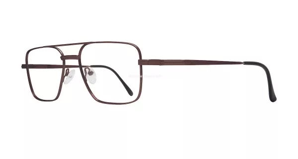 Eight to Eighty Victory Brown