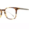 Brooklyn Heights Fillmore Tortoise