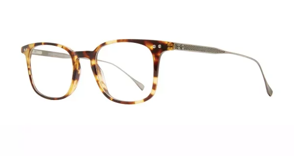 Brooklyn Heights Fillmore Tortoise