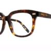 Eight to Eighty Brady Tortoise
