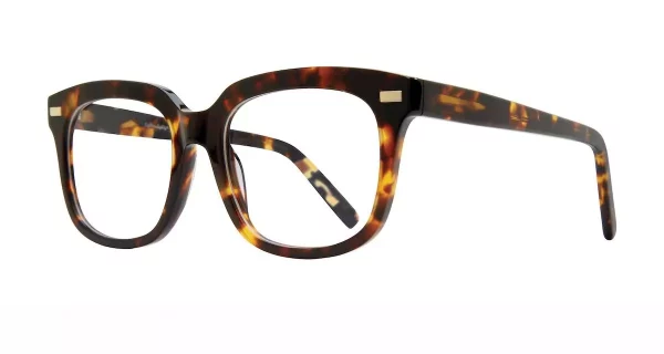 Eight to Eighty Brady Tortoise