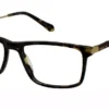 Tony Hawk TH576 2 Tortoise / Gold